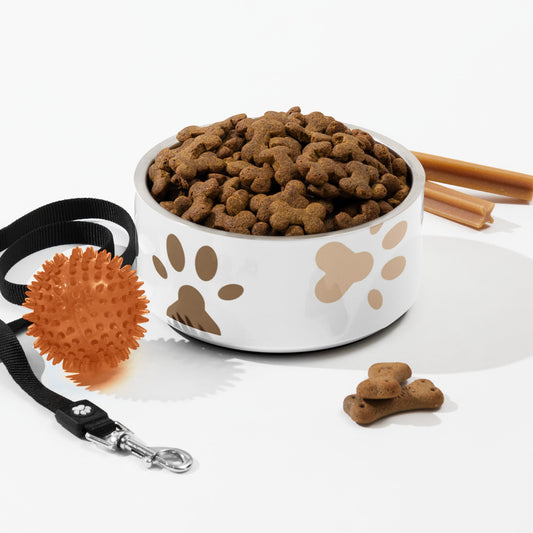 Best Gifts for Dog and Cat Lovers: 7 Personality-Filled Picks
