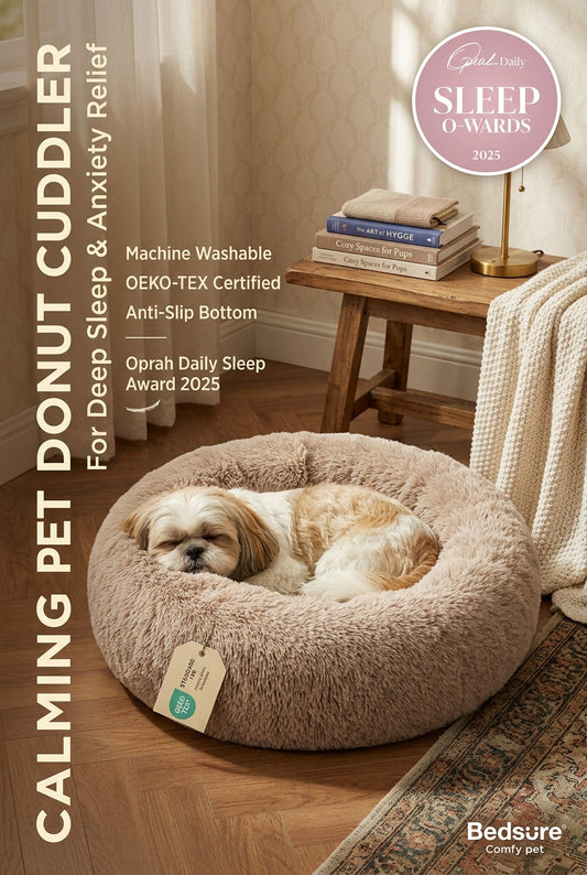 How to Create a Comfortable Sleep Space for Your Pet: 8 Practical Tips