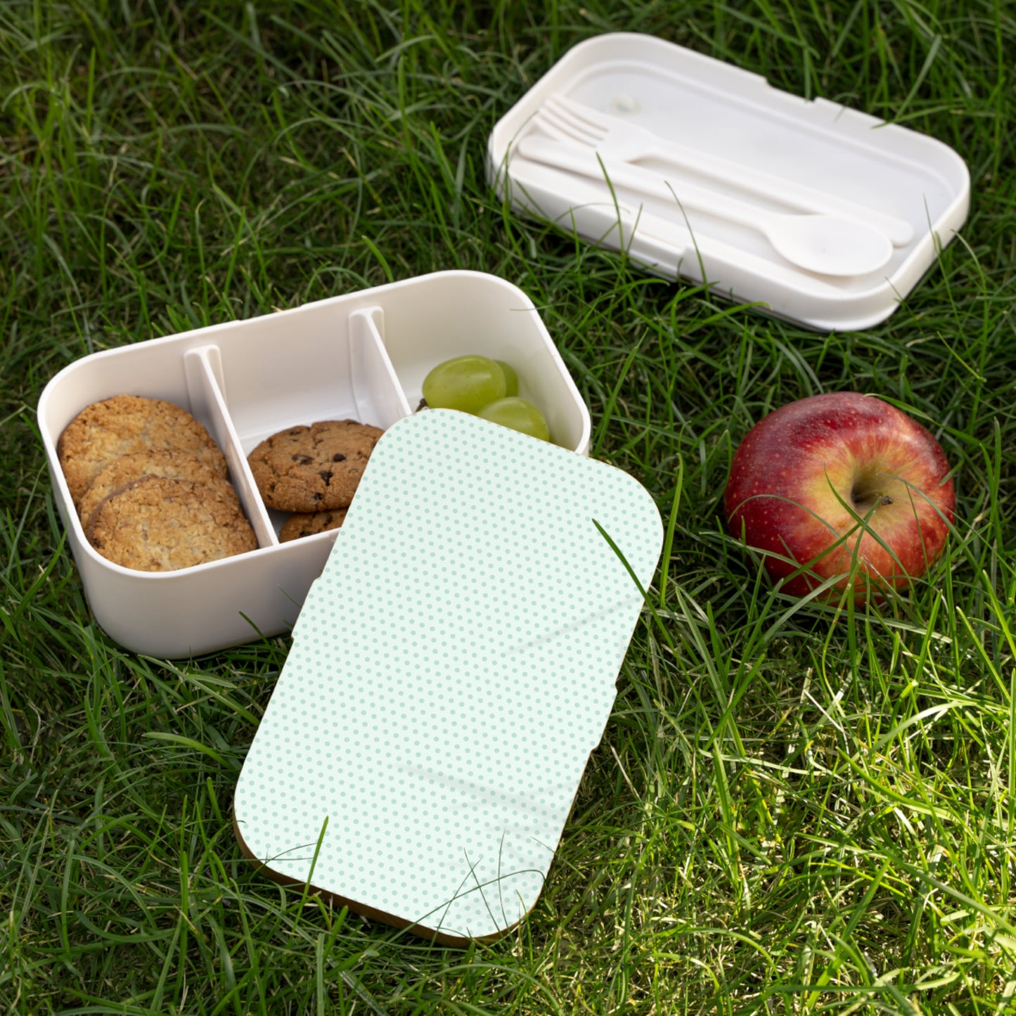 Smashed Green Dots Bento Lunch Box