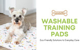 Premium Washable Reusable Pet Pee Pads | Large House Training Mats 28 inches x 31 inches