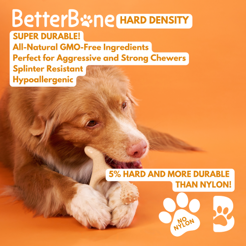 Dog chewing on a toy with BetterBone Hard Density branding and product features on an orange background CMH Goods.