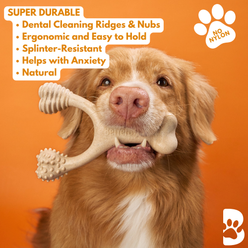 Dog holding a bone-shaped chew toy with text about its features on an orange background CMH Goods