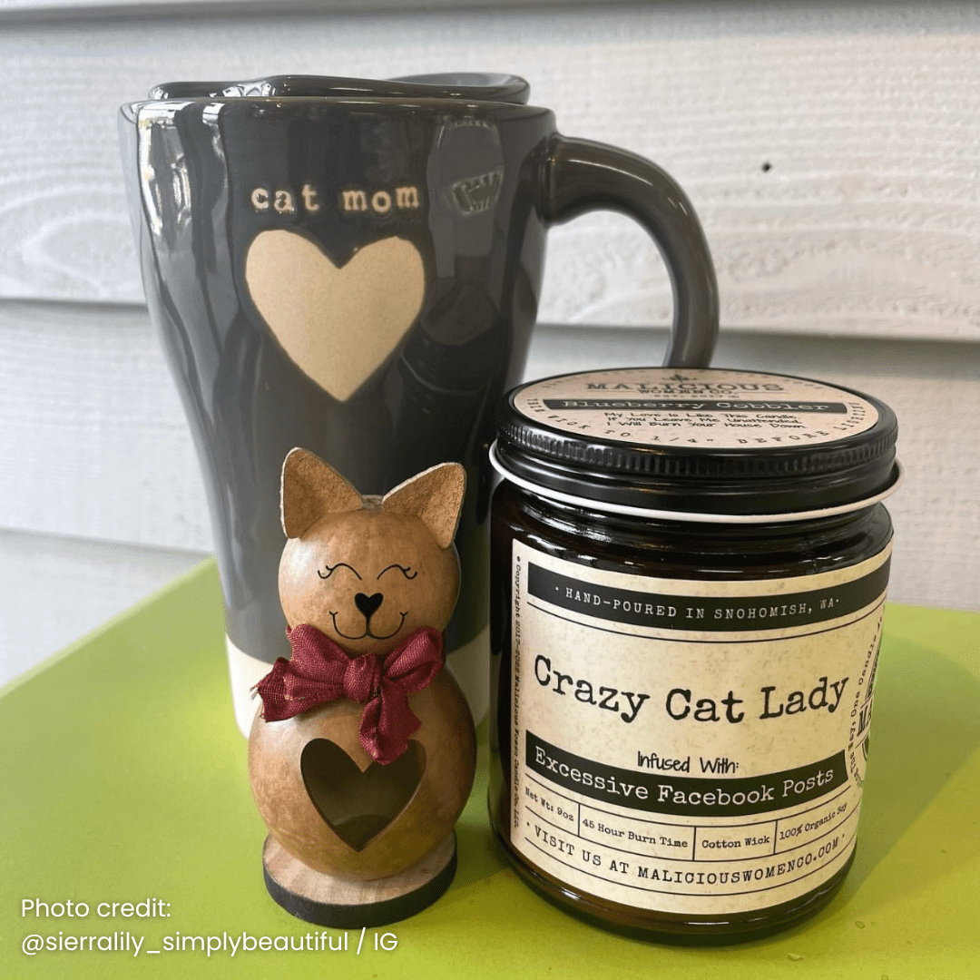 Crazy Cat Lady | Scent: Apricot Freesia | 9oz Funny Candle | Malicious Women Co