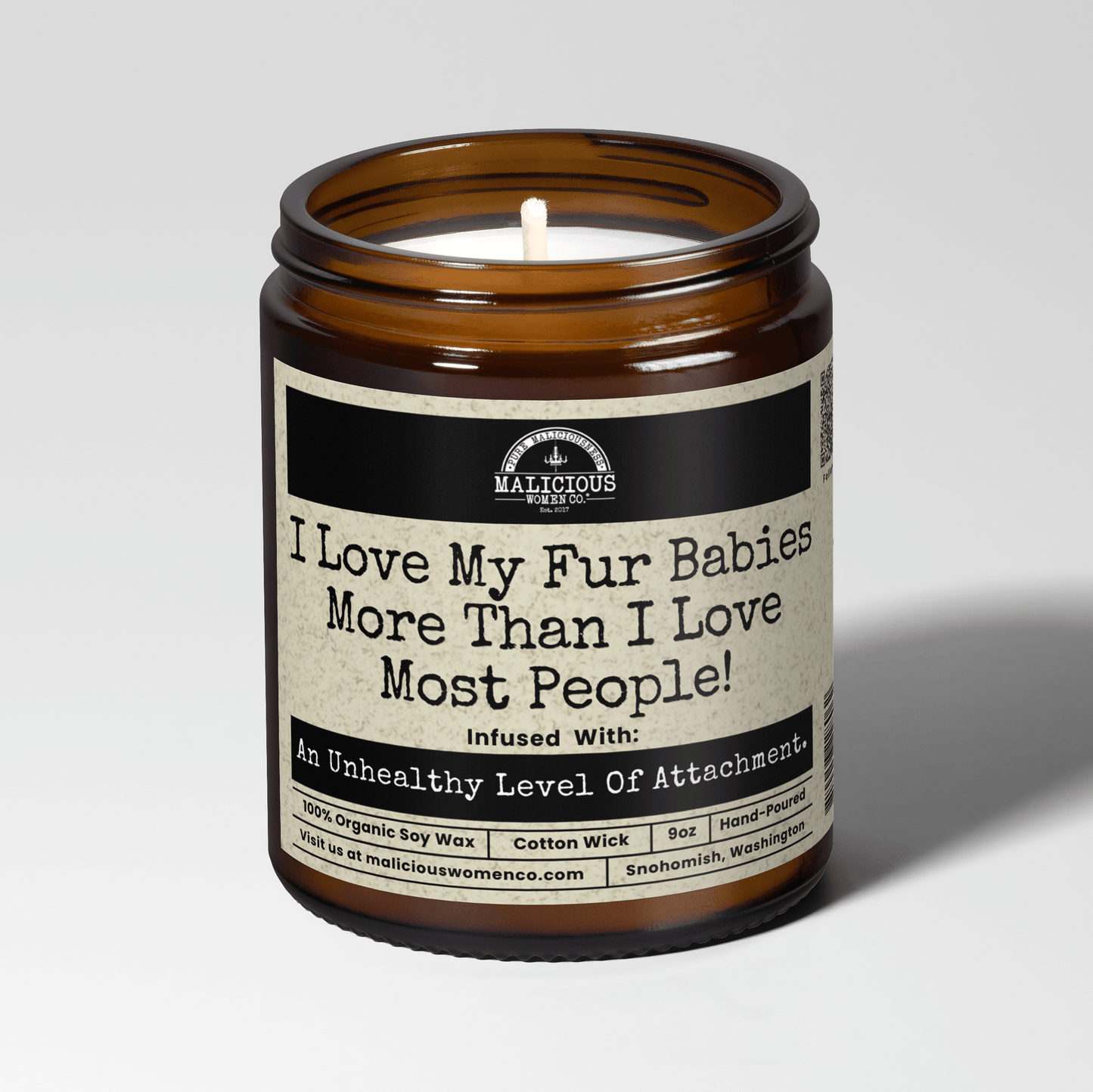 I Love My Fur Babies More Than I Love Most People | Scent: A Hot Mess | 9oz Funny Candle | Malicious Women Co